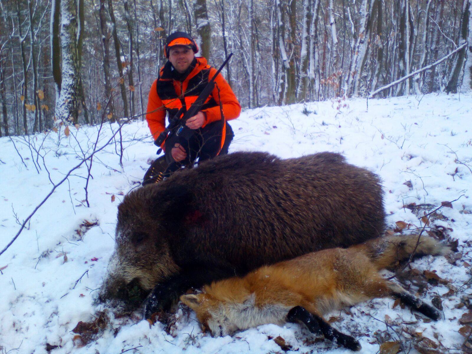 wild boar on show with hunter